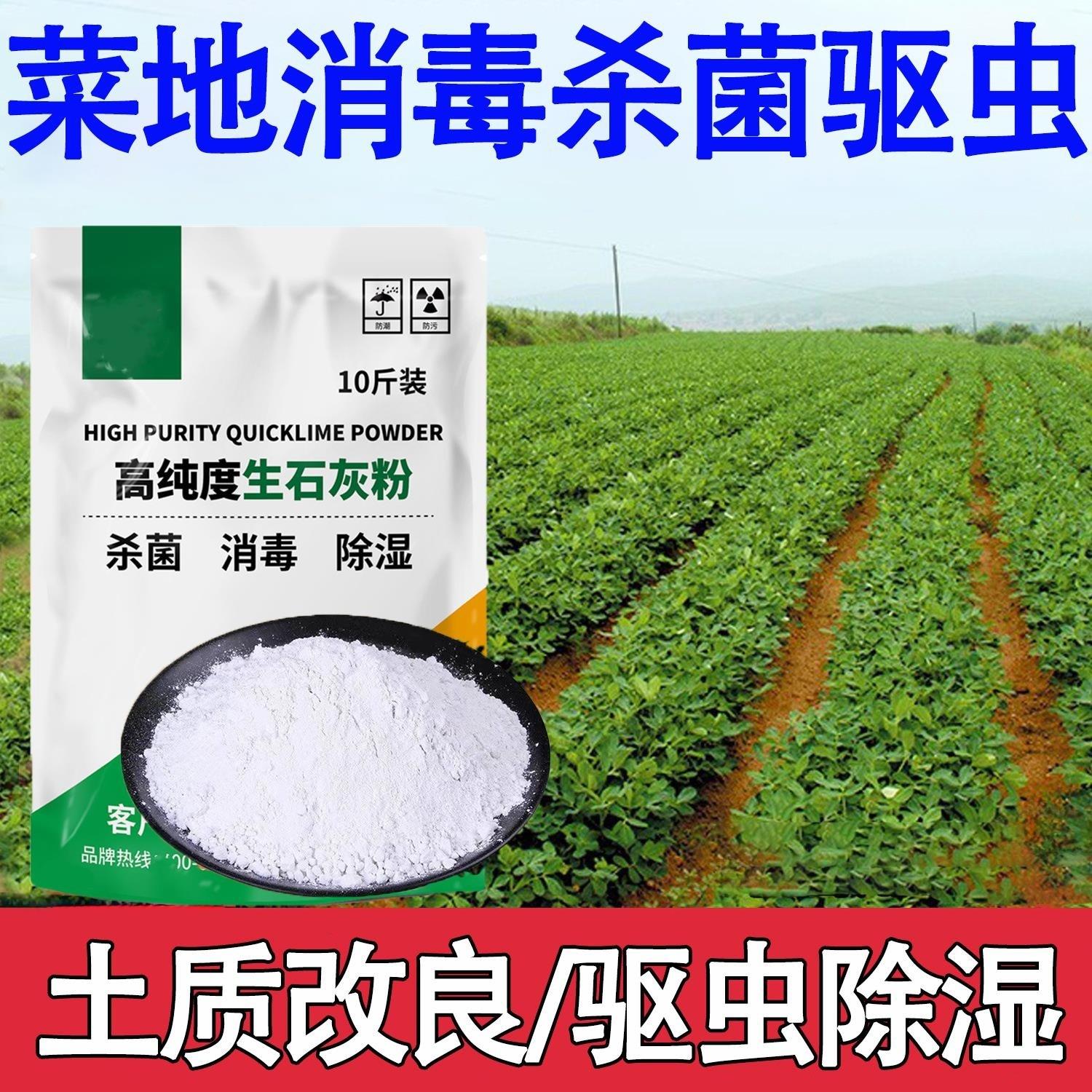 生石灰粉杀虫种菜10斤消毒灭菌防潮吸霉净水除臭刷树木白墙干燥剂