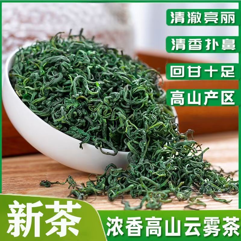 绿茶茶叶2025新茶叶炒青绿茶日照浓香型耐泡特一级高山云雾野生茶