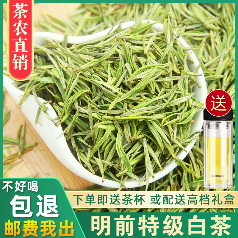正宗安吉茶叶2025年新茶明前特级高山白茶春茶绿茶罐装250克
