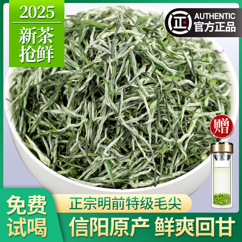 2025新茶毛尖茶叶信阳原产明前特级嫩芽浓香型绿茶散装毛尖茶500g
