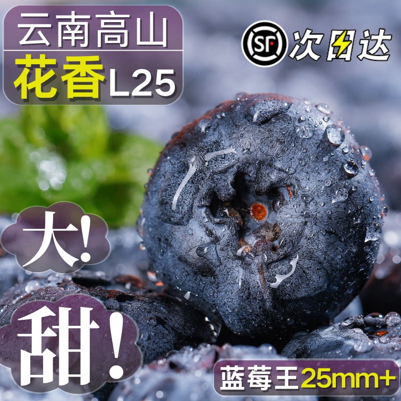 云南高山现采大果蓝莓果香浓郁果径22-25mm礼盒装